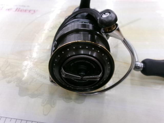 スティーズ タイプⅡ