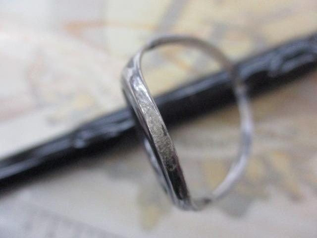 デフィーミュートス DMデューロ 100H (RGモデル/RV)