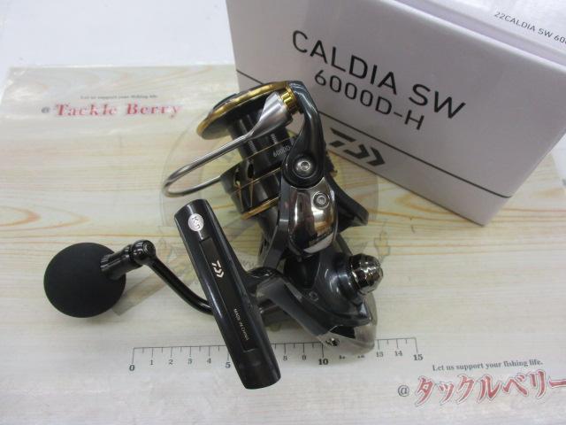 22カルディアSW 6000D-H