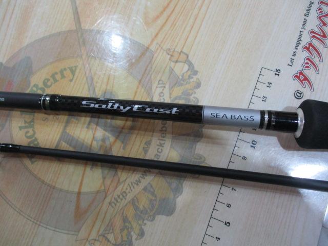 ソルティキャスト S806L