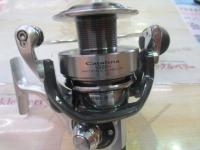 12キャタリナ 5000H