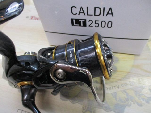 21カルディア LT2500