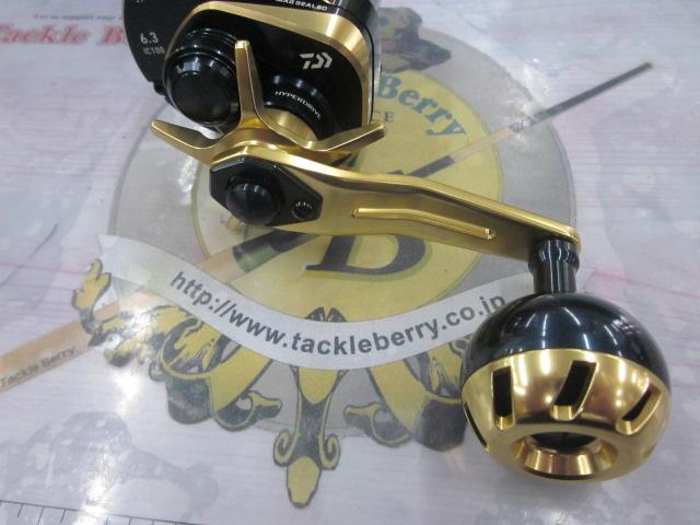 21ソルティガIC 100