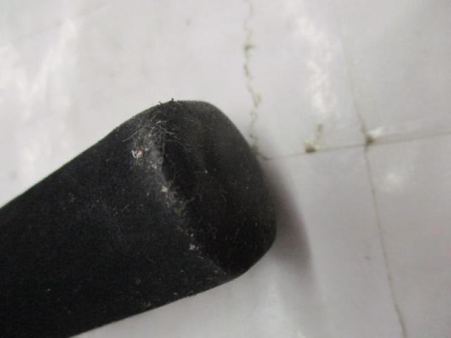 ベイショットヤリイカ195