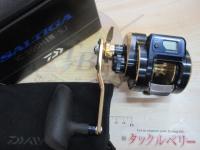 21ソルティガIC 300HL-SJ