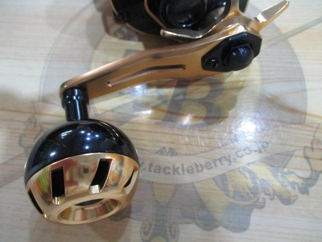 21ソルティガIC 100