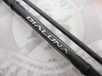 18ディアルーナ S86L-S