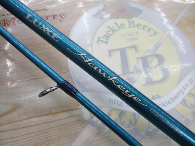 ラグゼホークアイ CG-S96MH