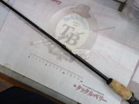 バスワンXT 2551-P