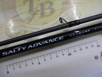 25ソルティーアドバンス シーバス/サーフ S96ML