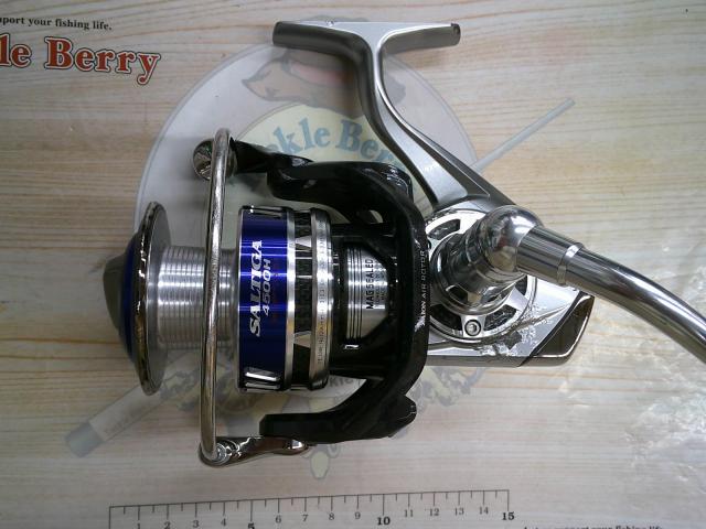 10ソルティガ 4500H