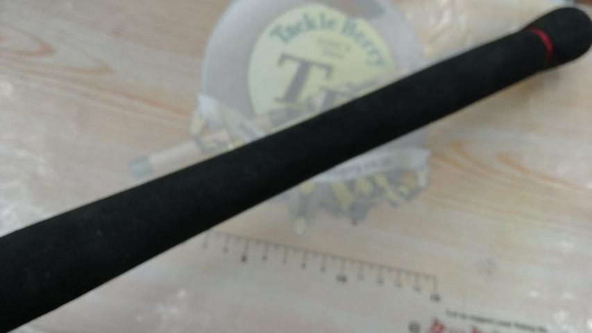 キャタリナ CH79S・N