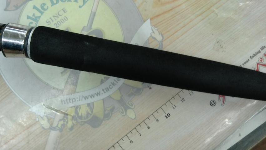 ソルティガコースタル SG ヒラマサ 54S