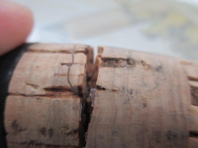 インスパイア ICSS-64L.TG