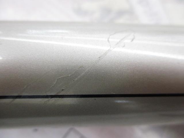 AWトーナメント銀影マキシム抜 F中硬硬100