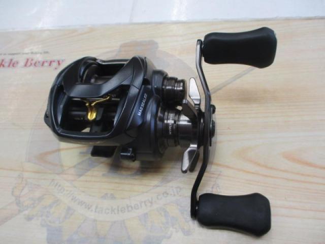 スティーズ AⅡ TW 1000XHL