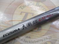 エクシマ大潮SS4-53遠投