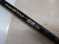 イングラム稲穂IM 00-540