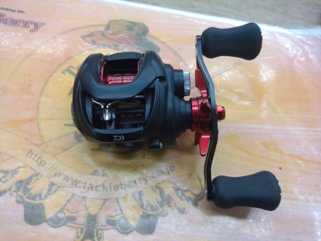 タトゥーラ TW 100XHL