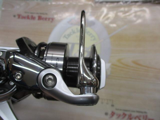 12キャタリナ 4500H