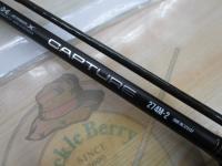 25キャプチャー 274M-2