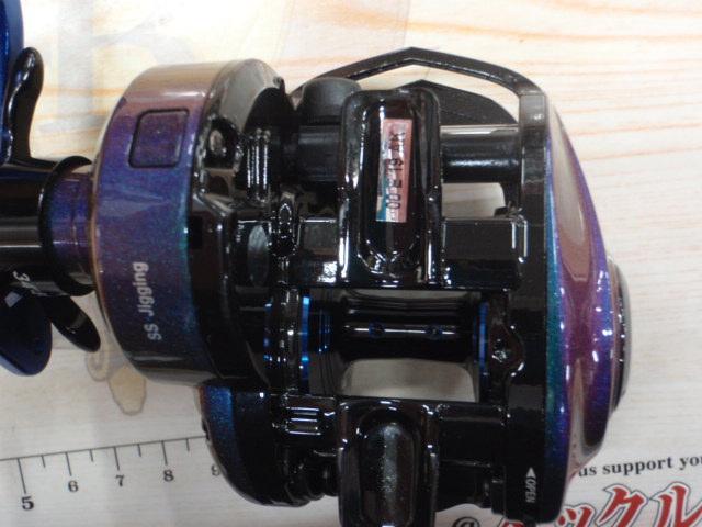 ソルティーステージジギング