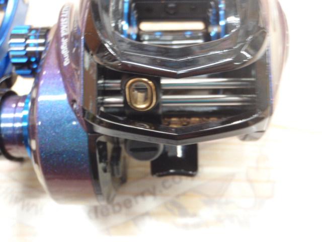 ソルティーステージジギング