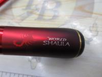 19ワールドシャウラ テクニカルエディション S66L-2/MD