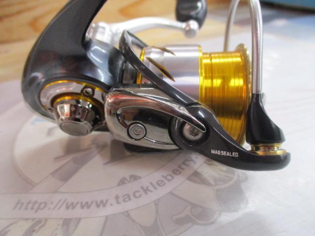 13セルテート 2004