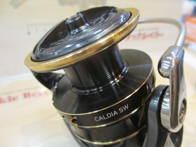 22カルディアSW 5000D-CXH