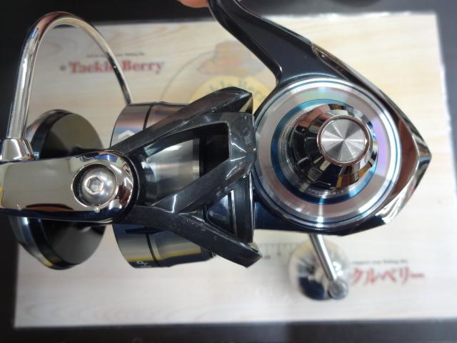 21セルテートSW 8000-P