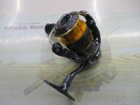 13セルテート 2004CH