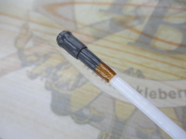 ILリーガル アオリ 2-53