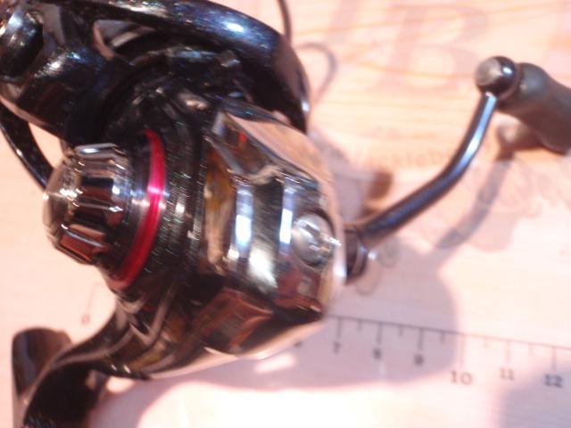 20月下美人X LT2000S-P