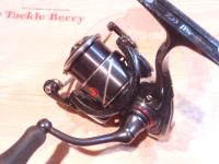 20月下美人X LT2000S-P