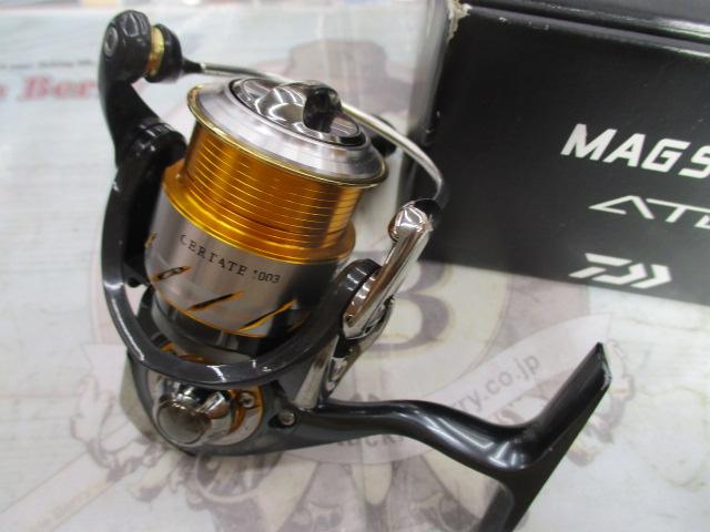 13セルテート 1003(CP)