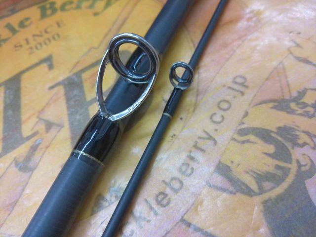 ビーキャスⅡ 96M