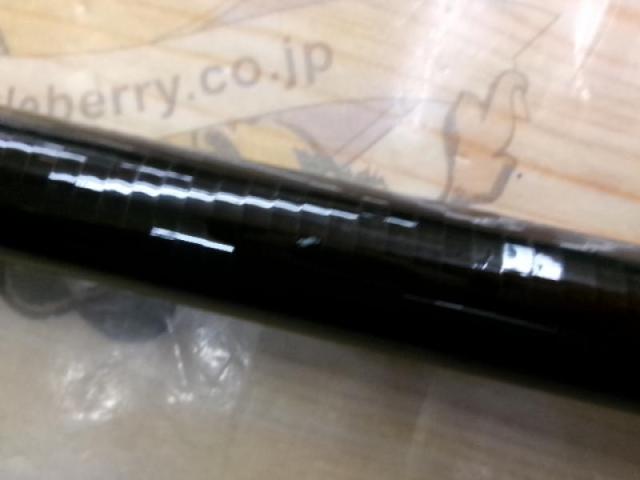 長良川急流スペシャル100