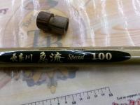 長良川急流スペシャル100