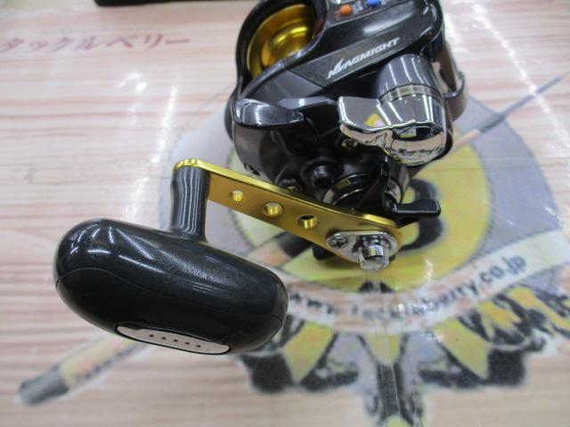 レオブリッツブル 500MM