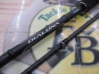 18ディアルーナ S96ML