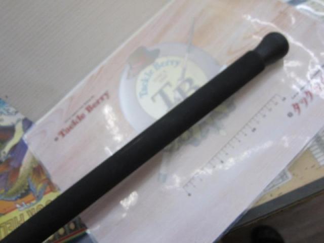 ノーザンブルー 574SS エボリューション