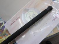 ノーザンブルー 574SS エボリューション