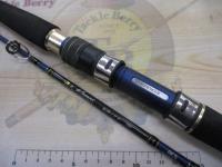 海人紀州イサキ 100