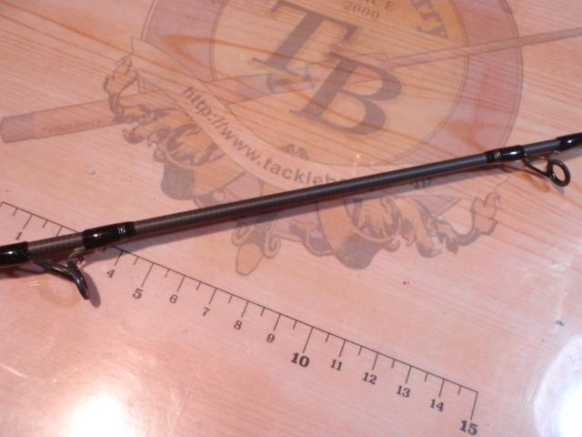 19ソルティーアドバンスショアジギング 100H