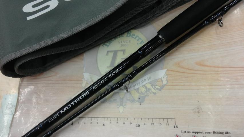 デフィーミュートス DMアキュラ 100H (Kガイドモデル)