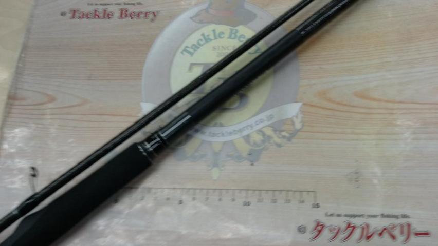 19エクスセンスジェノス S110MHR