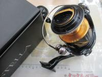 19ステラSW 8000PG