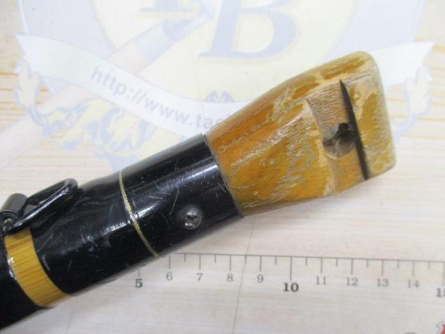 インストラクター鯉スペシャルアラミカ 520