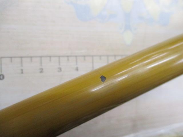 インストラクター鯉スペシャルアラミカ 520